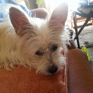 Meet your Posher, Cindi